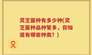灵芝菌种有多少种(灵芝菌种品种繁多，你知道有哪些种类？)