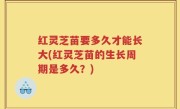 红灵芝苗要多久才能长大(红灵芝苗的生长周期是多久？)