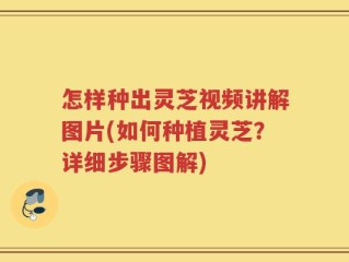 怎样种出灵芝视频讲解图片(如何种植灵芝？详细步骤图解)