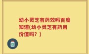 幼小灵芝有药效吗百度知道(幼小灵芝有药用价值吗？)