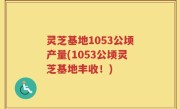 灵芝基地1053公顷产量(1053公顷灵芝基地丰收！)