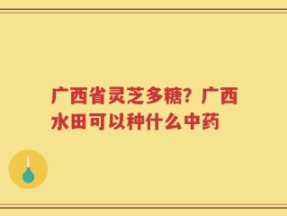 广西省灵芝多糖？广西水田可以种什么中药