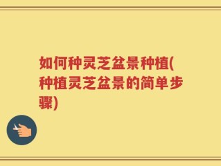 如何种灵芝盆景种植(种植灵芝盆景的简单步骤)