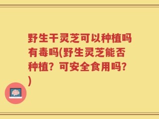 野生干灵芝可以种植吗有毒吗(野生灵芝能否种植？可安全食用吗？)