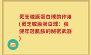 灵芝胶原蛋白球的作用(灵芝胶原蛋白球：强健年轻肌肤的秘密武器)