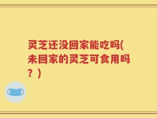 灵芝还没回家能吃吗(未回家的灵芝可食用吗？)