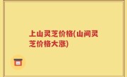 上山灵芝价格(山间灵芝价格大涨)