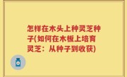 怎样在木头上种灵芝种子(如何在木板上培育灵芝：从种子到收获)
