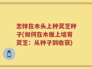怎样在木头上种灵芝种子(如何在木板上培育灵芝：从种子到收获)