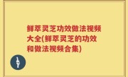 鲜萃灵芝功效做法视频大全(鲜萃灵芝的功效和做法视频合集)