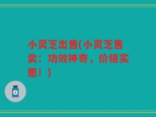 小灵芝出售(小灵芝售卖：功效神奇，价格实惠！)