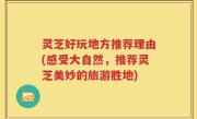 灵芝好玩地方推荐理由(感受大自然，推荐灵芝美妙的旅游胜地)