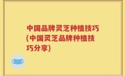 中国品牌灵芝种植技巧(中国灵芝品牌种植技巧分享)