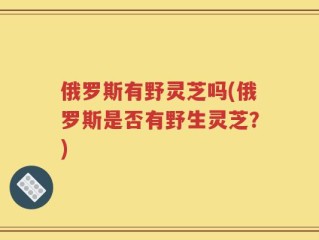 俄罗斯有野灵芝吗(俄罗斯是否有野生灵芝？)
