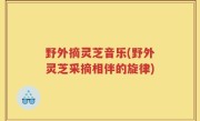 野外摘灵芝音乐(野外灵芝采摘相伴的旋律)