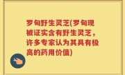 罗甸野生灵芝(罗甸现被证实含有野生灵芝，许多专家认为其具有极高的药用价值)