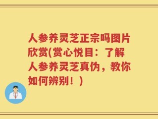 人参养灵芝正宗吗图片欣赏(赏心悦目：了解人参养灵芝真伪，教你如何辨别！)