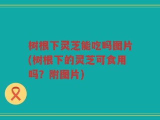 树根下灵芝能吃吗图片(树根下的灵芝可食用吗？附图片)