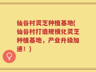 仙谷村灵芝种植基地(仙谷村打造规模化灵芝种植基地，产业升级加速！)
