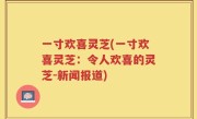 一寸欢喜灵芝(一寸欢喜灵芝：令人欢喜的灵芝-新闻报道)