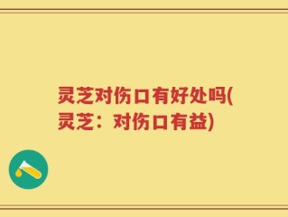 灵芝对伤口有好处吗(灵芝：对伤口有益)
