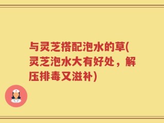 与灵芝搭配泡水的草(灵芝泡水大有好处，解压排毒又滋补)