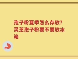 孢子粉夏季怎么存放？灵芝孢子粉要不要放冰箱