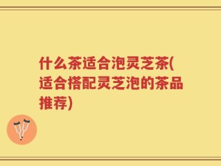 什么茶适合泡灵芝茶(适合搭配灵芝泡的茶品推荐)
