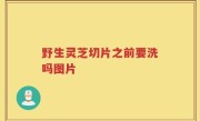 野生灵芝切片之前要洗吗图片