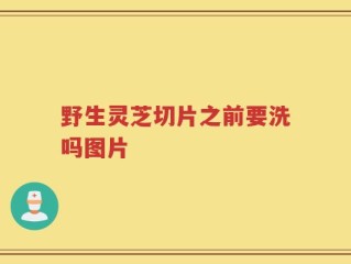 野生灵芝切片之前要洗吗图片