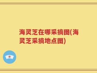 海灵芝在哪采摘图(海灵芝采摘地点图)