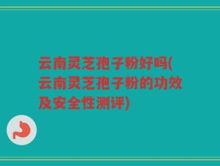 云南灵芝孢子粉好吗(云南灵芝孢子粉的功效及安全性测评)