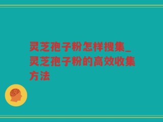 灵芝孢子粉怎样搜集_灵芝孢子粉的高效收集方法