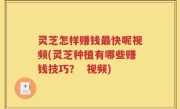 灵芝怎样赚钱最快呢视频(灵芝种植有哪些赚钱技巧？  视频)