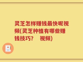 灵芝怎样赚钱最快呢视频(灵芝种植有哪些赚钱技巧？  视频)