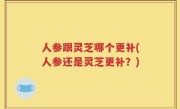 人参跟灵芝哪个更补(人参还是灵芝更补？)