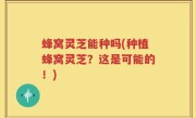 蜂窝灵芝能种吗(种植蜂窝灵芝？这是可能的！)