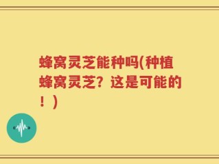 蜂窝灵芝能种吗(种植蜂窝灵芝？这是可能的！)