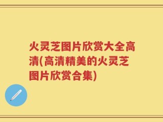 火灵芝图片欣赏大全高清(高清精美的火灵芝图片欣赏合集)
