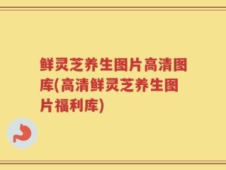 鲜灵芝养生图片高清图库(高清鲜灵芝养生图片福利库)