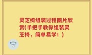 灵芝椅组装过程图片欣赏(手把手教你组装灵芝椅，简单易学！)