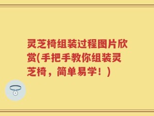 灵芝椅组装过程图片欣赏(手把手教你组装灵芝椅，简单易学！)