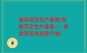 龙岩灵芝生产基地(龙岩灵芝生产基地——天然灵芝高品质产地)