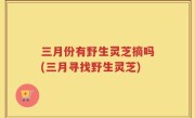 三月份有野生灵芝摘吗(三月寻找野生灵芝)