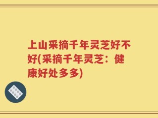 上山采摘千年灵芝好不好(采摘千年灵芝：健康好处多多)