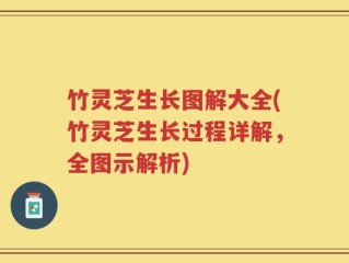 竹灵芝生长图解大全(竹灵芝生长过程详解，全图示解析)