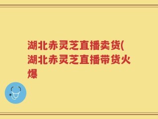 湖北赤灵芝直播卖货(湖北赤灵芝直播带货火爆