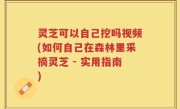 灵芝可以自己挖吗视频(如何自己在森林里采摘灵芝 - 实用指南)