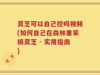 灵芝可以自己挖吗视频(如何自己在森林里采摘灵芝 - 实用指南)