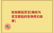 蛇和蘑菇灵芝(蝮蛇与灵芝蘑菇的生物奇幻故事)